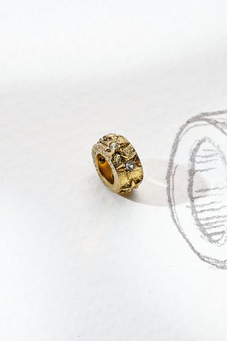 Borrowed Light Slider