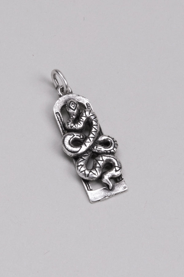 Change Is Gonna Come Snake Pendent